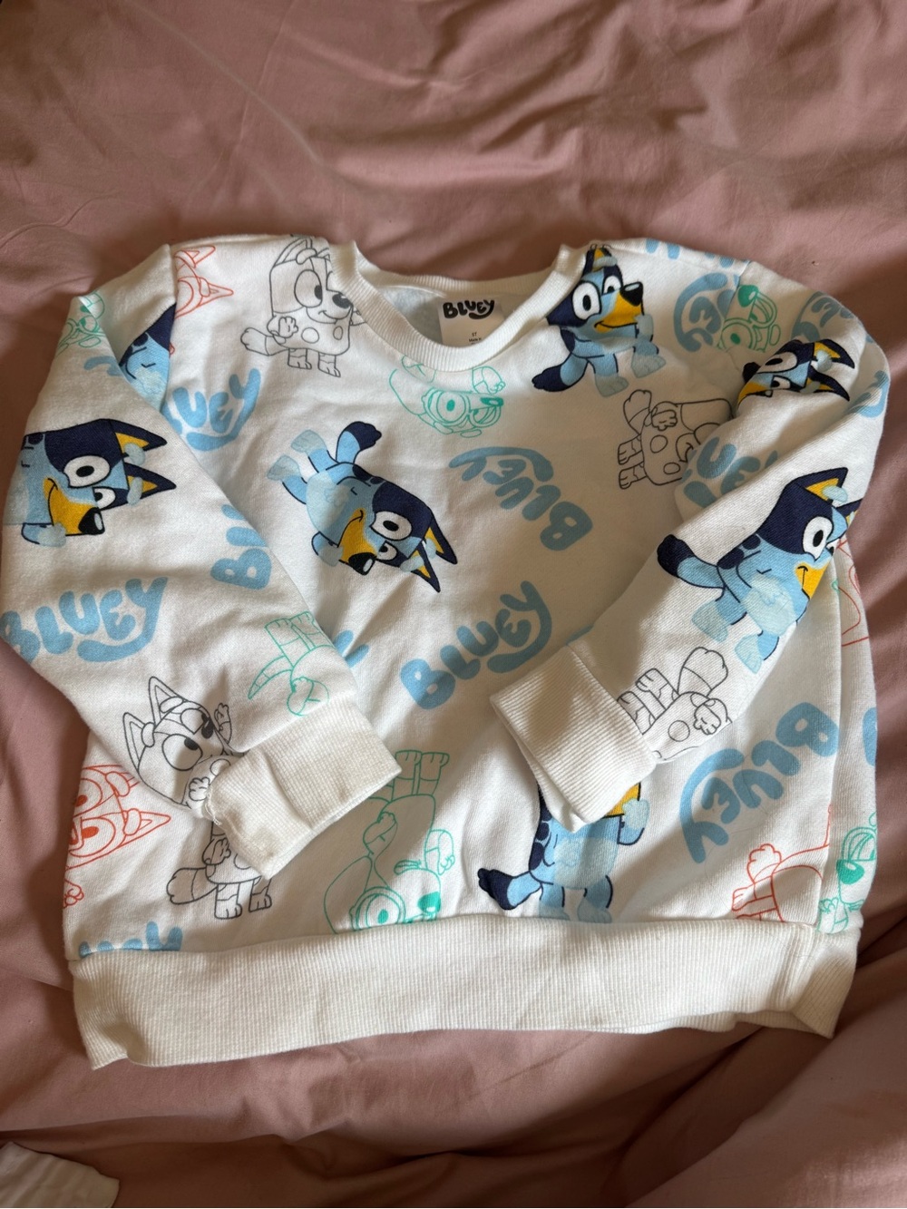 Bluey Kids' White Pullover Sweatshirt with Blue Character Print size 5T